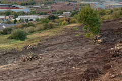Site clearance company in Sheffield